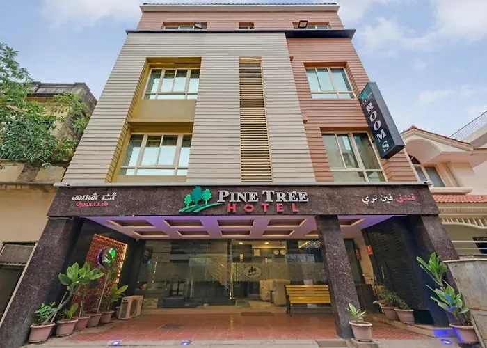 Pine Tree BoutiqueBoutique Hotel